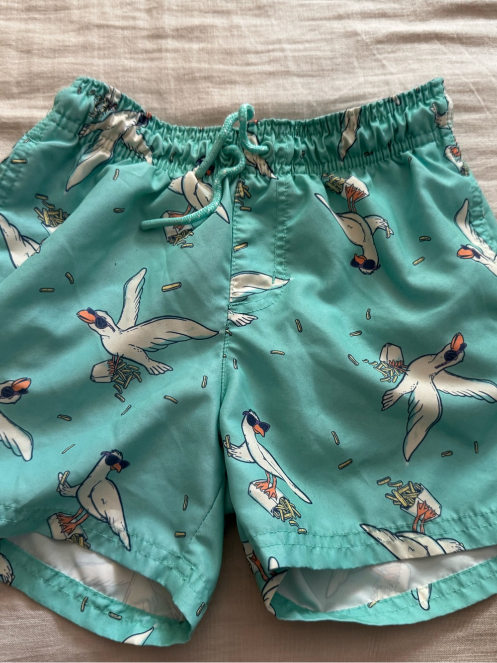 Cat & Jack Seagull Swim Trucks Short 8 Boys